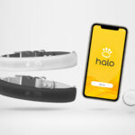 Halo hundehalsbånd