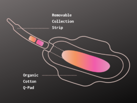 QVIN MENSTRUATION TESTING PAD