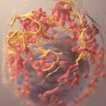 Cervical Cancer Awareness
